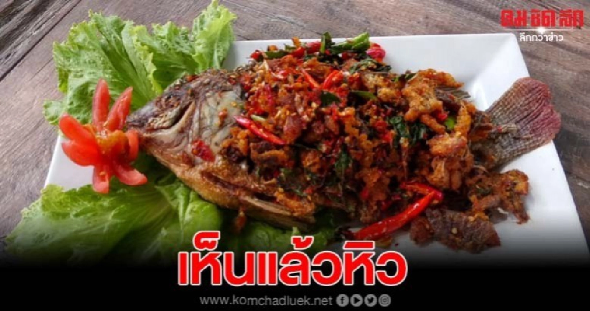 ปลาทอดกรอบผัดกระเพรารสชาติจัดจ้าน พร้อมดื่มด่ำไปกับบรรยากาศ ปลาทอดกรอบผัดกระเพรารสชาติจัดจ้าน พร้อมดื่มด่ำไปกับบรรยากาศ