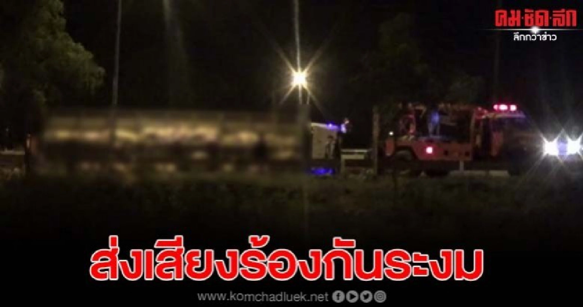 รถบรรทุกหมูเกิดยางแตกพลิกคว่ำ ส่งเสียงร้องกันระงม