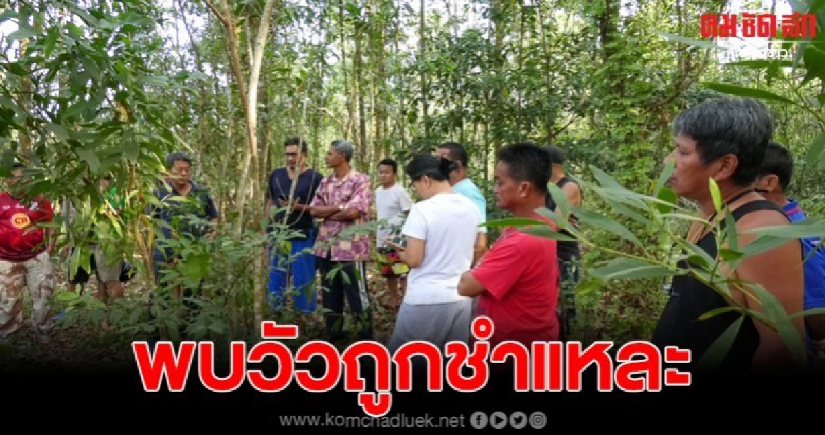 พบวัวถูกชำแหละ เชือดอวัยวะเพศ หางและขาหาย3 ขา พบวัวถูกชำแหละ เชือดอวัยวะเพศ หางและขาหาย3 ขา