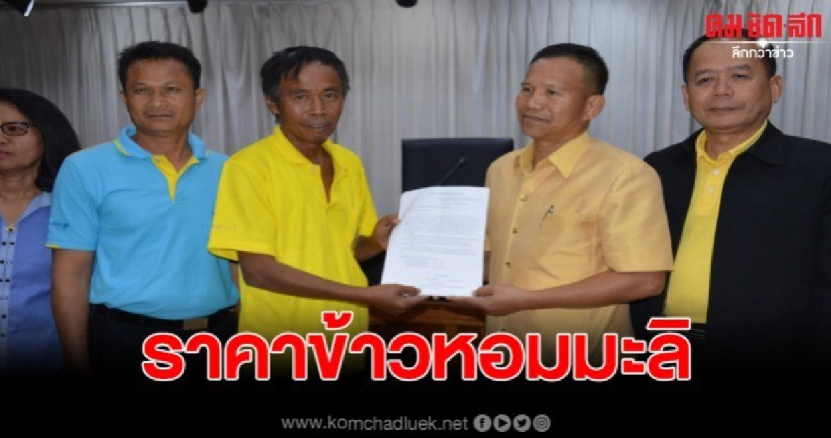 ชาวนา ยื่นหนังสือ หลังราคารับซื้อข้าวหอมมะลิลด ชาวนา ยื่นหนังสือ หลังราคารับซื้อข้าวหอมมะลิลด