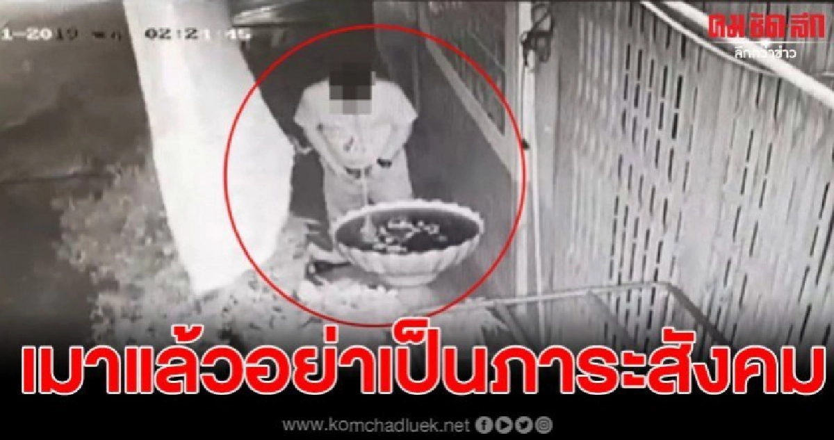 เจ้าของบ้านสุดทน เจอขี้เมาฉี่ใส่กระถางต้นไม้ อ้วกลงอ่างปลา เจ้าของบ้านสุดทน เจอขี้เมาฉี่ใส่กระถางต้นไม้ อ้วกลงอ่างปลา