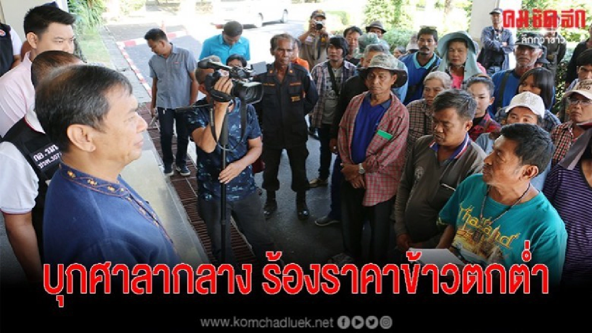 ชาวนาบุกศาลากลางพิจิตร ร้องข้าวหอมมะลิราคาดิ่งเหว