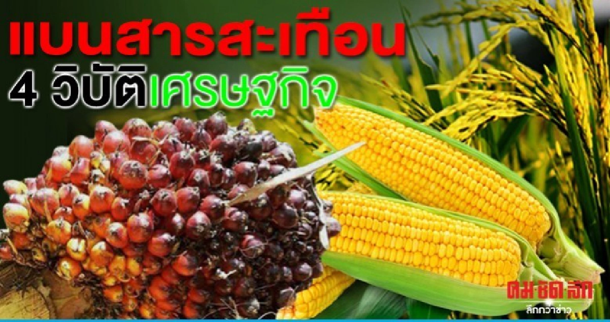 แบนสารเคมีสะเทือน 4 วิบัติเศรษฐกิจไทย