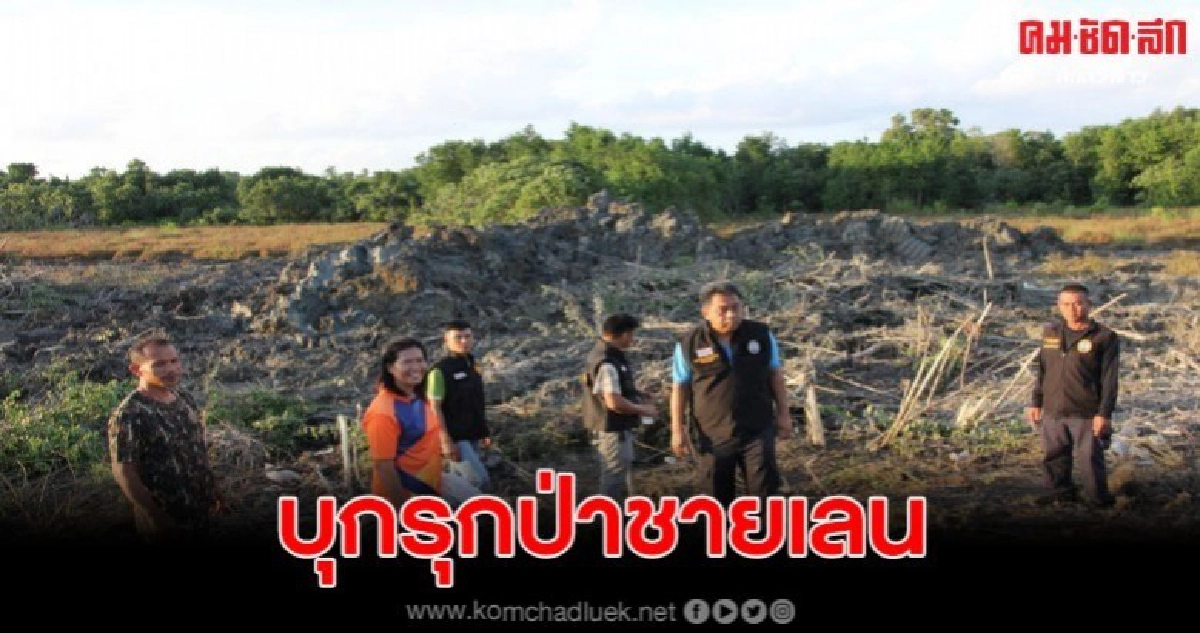 ชาวบ้านเดือด พบมีการใช้รถแบคโฮบุกรุกป่าชายเลน ชาวบ้านเดือด พบมีการใช้รถแบคโฮบุกรุกป่าชายเลน