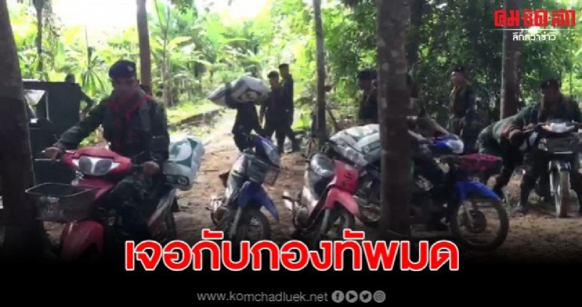 ทหารเผชิญหน้ากองทัพมดกลางป่าชายแดนไทยมาเลเซีย ทหารเผชิญหน้ากองทัพมดกลางป่าชายแดนไทยมาเลเซีย