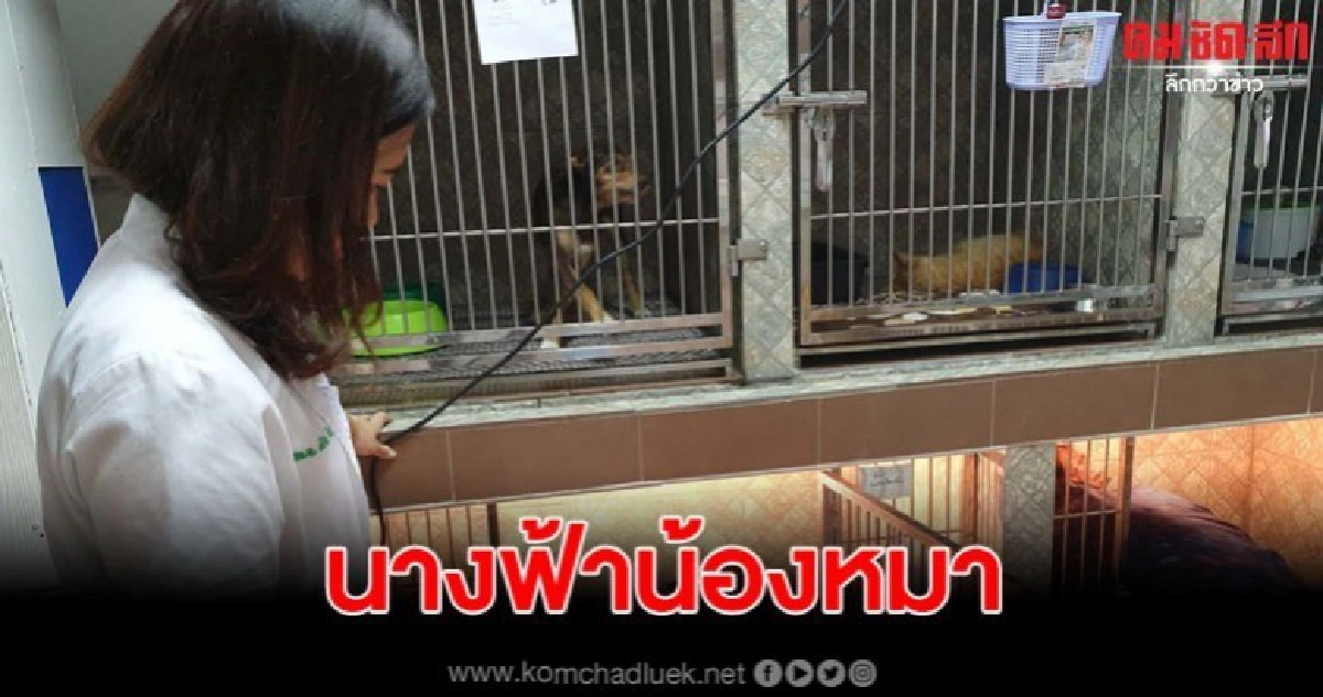 ชื่นชมคุณหมอใจบุญ รักษา "เจ้าบิ๊ก" ฟรี หลังเป็นมะเร็งลำคอ
