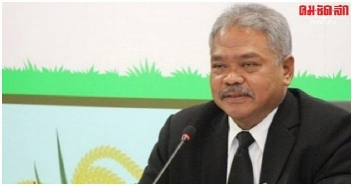 จ่อเลื่อนแบน 3 สารอีก 6 เดือน