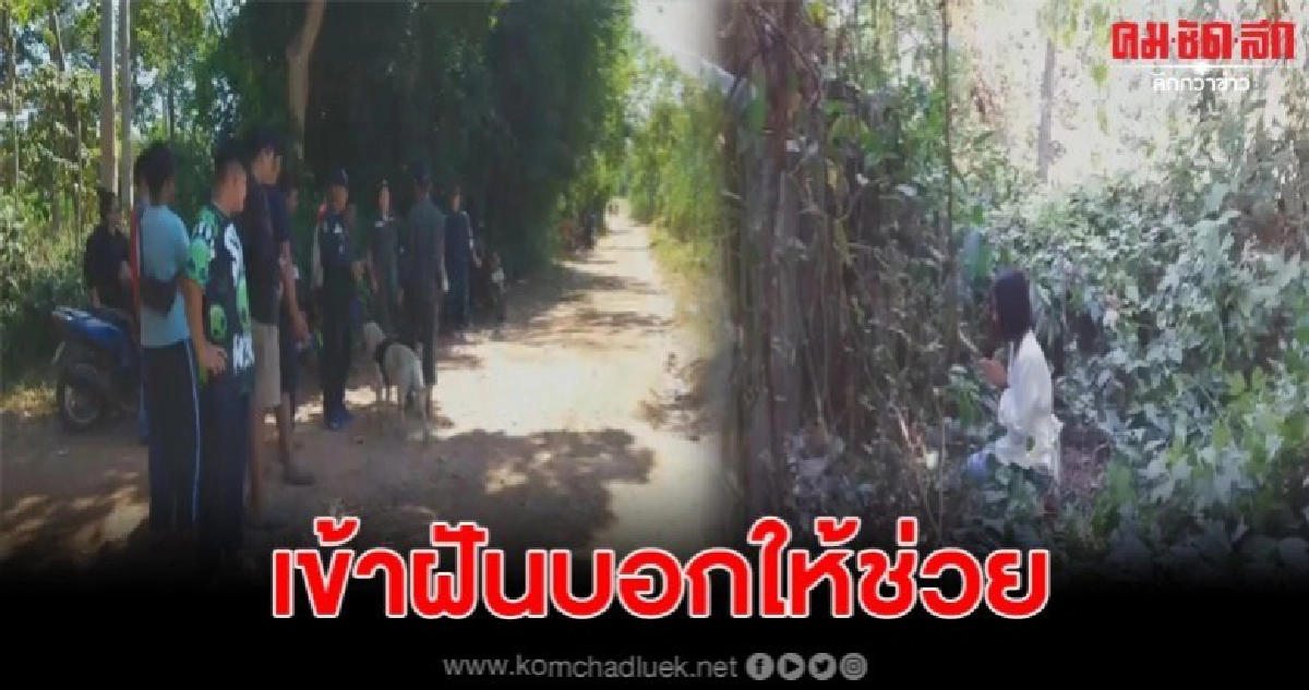 ปู่เล่าหลานหายตัวลึกลับ ตามหาเท่าไหร่ก็ไม่เจอเชื่อถูกผีบังตา ปู่เล่าหลานหายตัวลึกลับ ตามหาเท่าไหร่ก็ไม่เจอเชื่อถูกผีบังตา