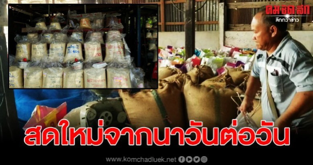 คุ้มค่าต่อการลงทุน ชาวนาสีข้าวขายเองรายได้งาม