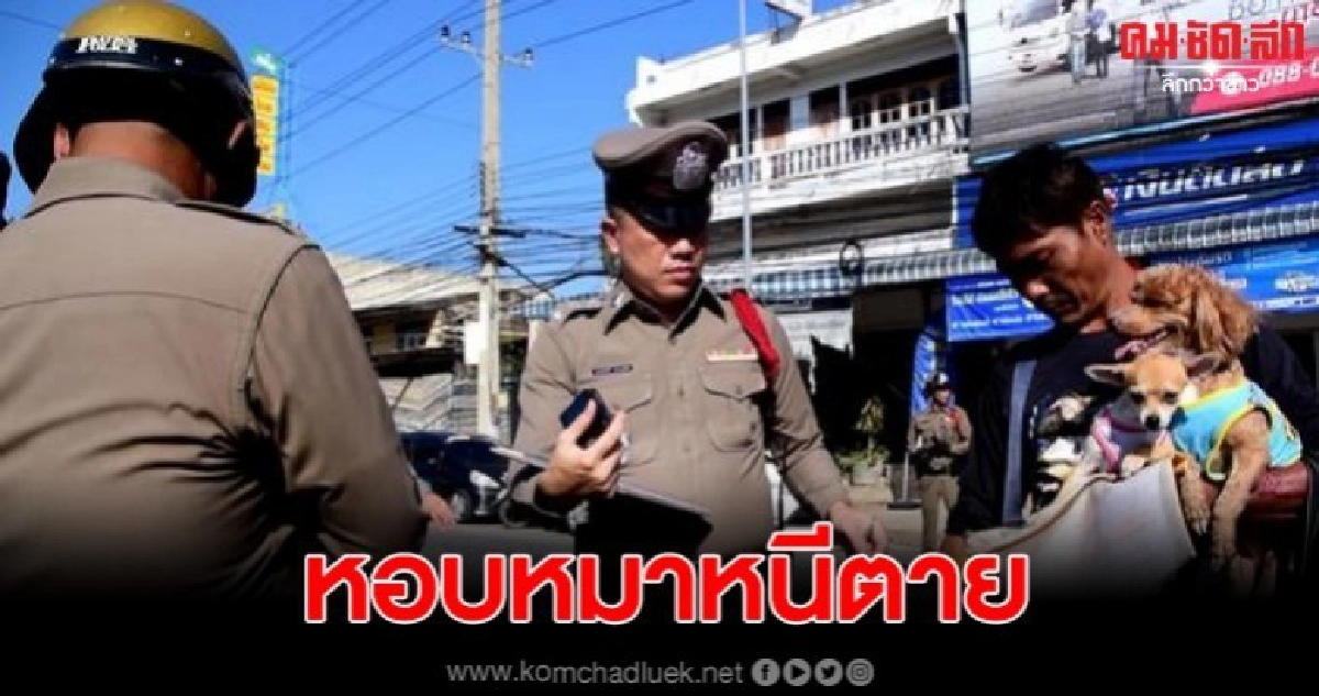 สิบล้อบรรทุกเหล็กชนท้ายรถทัวร์ คนขับตกใจหอบน้องหมาหนีตาย สิบล้อบรรทุกเหล็กชนท้ายรถทัวร์ คนขับตกใจหอบน้องหมาหนีตาย