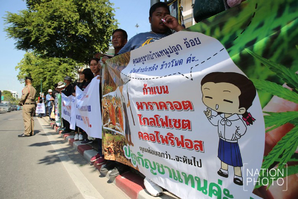 คนหนุน-ต้านแบน 3 สารเคมีต้องอยู่ในกรอบกฎหมาย