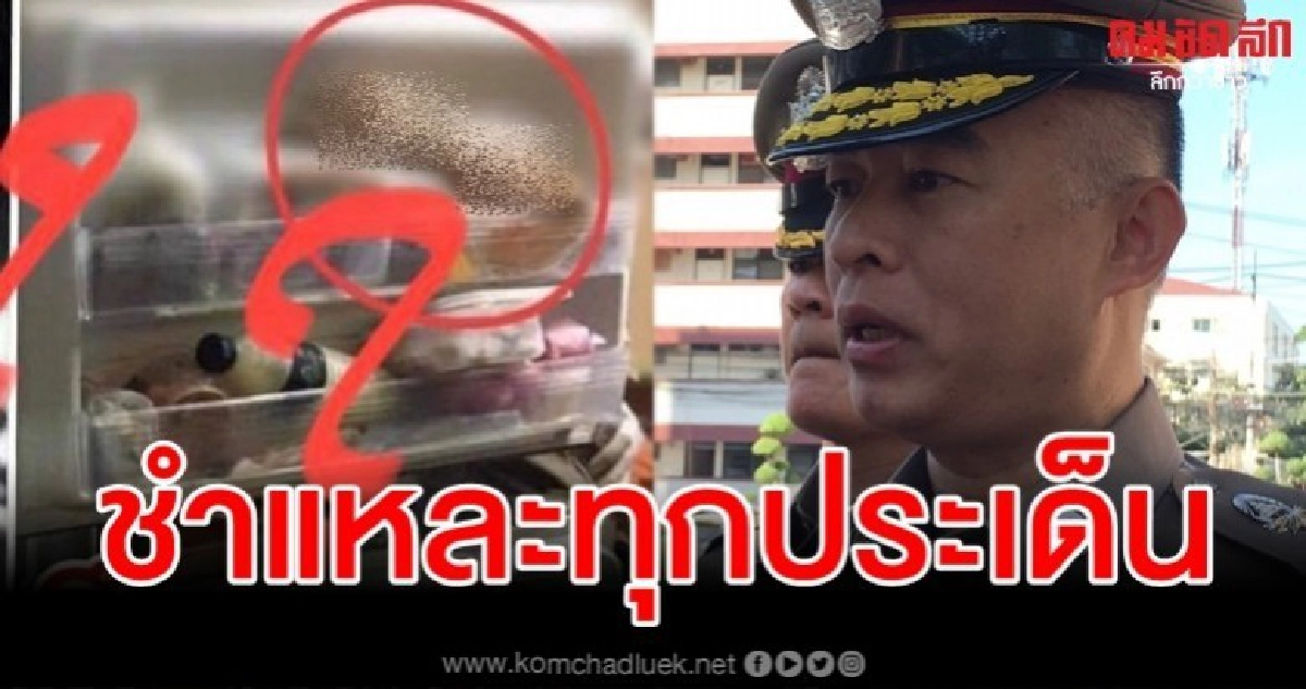 ผบก.น.9 สั่งชำแหละทุกประเด็น คดีลูกฆ่าหั่นศพแม่ยัดตู้เย็น