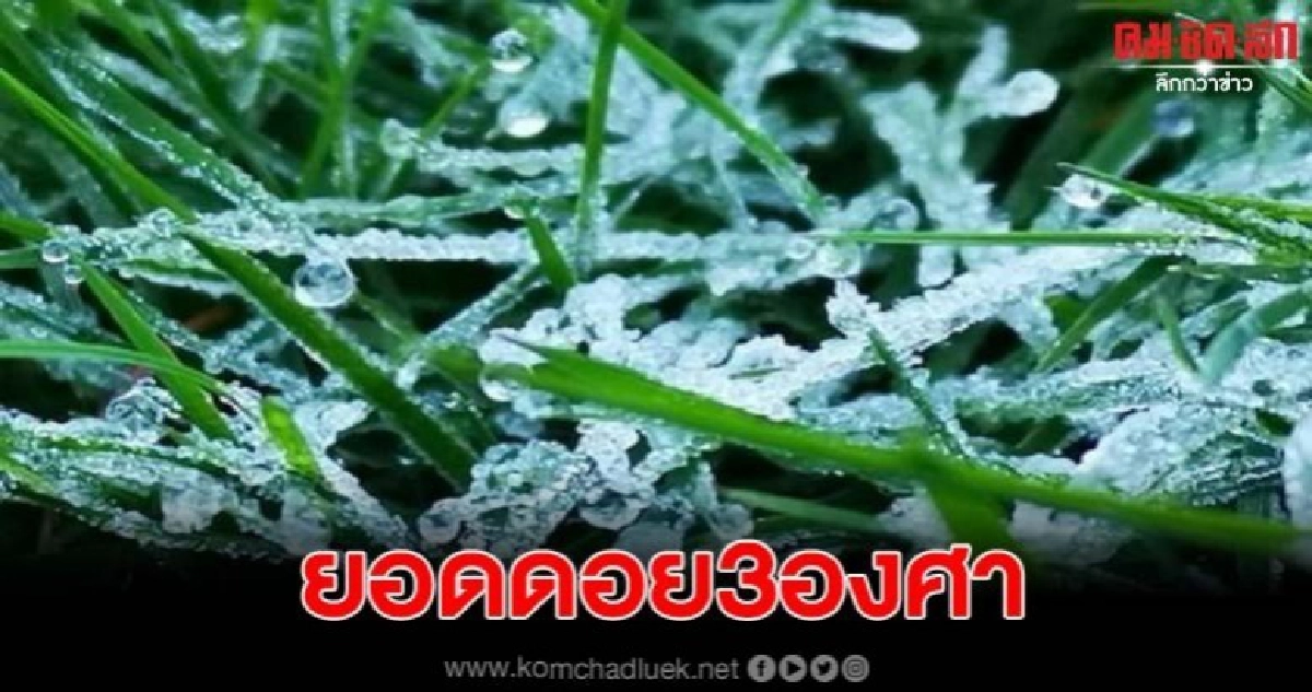 ยอดดอยอินทนนท์ยะเยือก 3 องศา เหมยขาบสีขาวโพลน