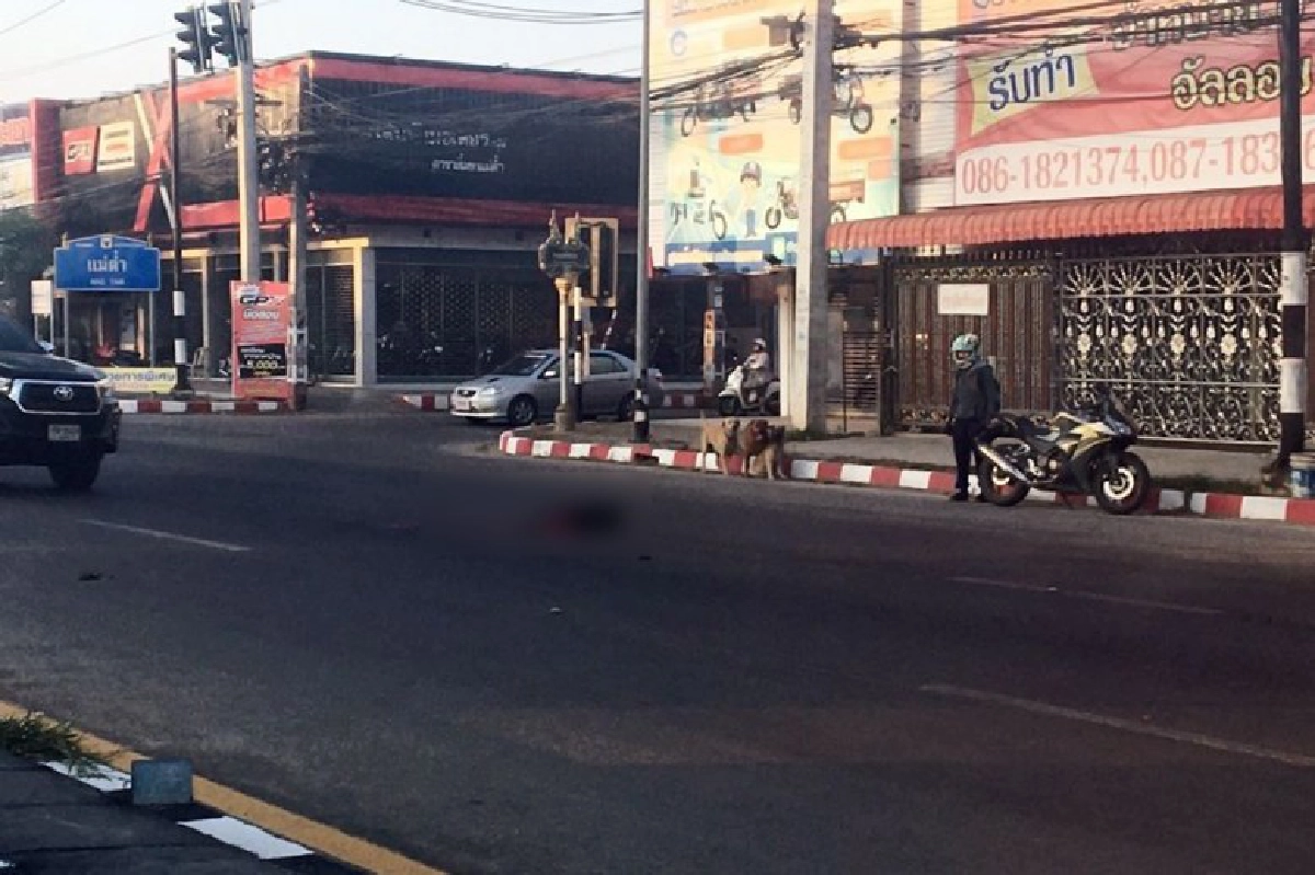 ยกนิ้วให้ หนุ่มนักเรียนอาสาเก็บซากสุนัขที่ถูกรถชนตายกลางถนน 