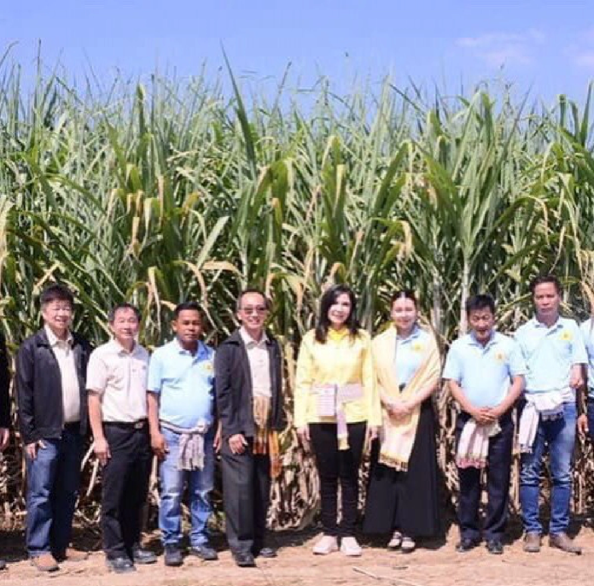 ดราม่า'แบน 3 สาร' ค่ายไหน..เล่นละคร 