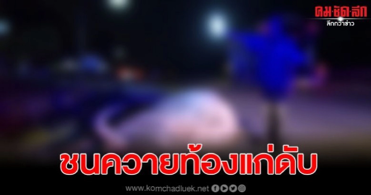 กระบะชนควายท้องแก่เดินข้ามถนนดับ กระบะชนควายท้องแก่เดินข้ามถนนดับ