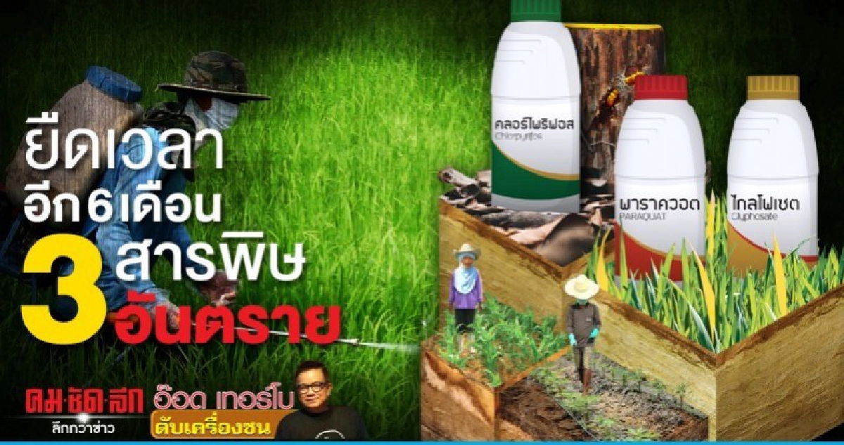 ยืดเวลาอีก 6 เดือน3 สารพิษอันตราย