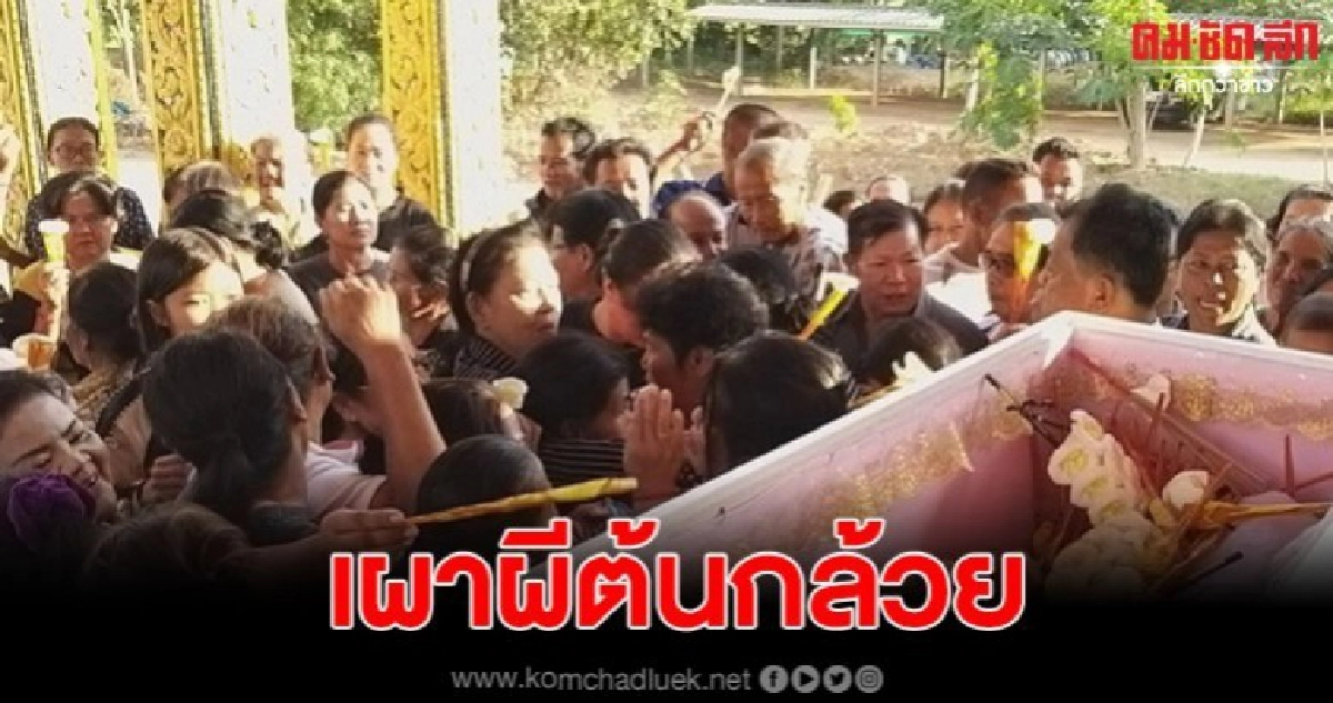 พระและชาวบ้านสุโขทัย จัดพิธีใหญ่ เผาผีต้นกล้วย พระและชาวบ้านสุโขทัย จัดพิธีใหญ่ เผาผีต้นกล้วย