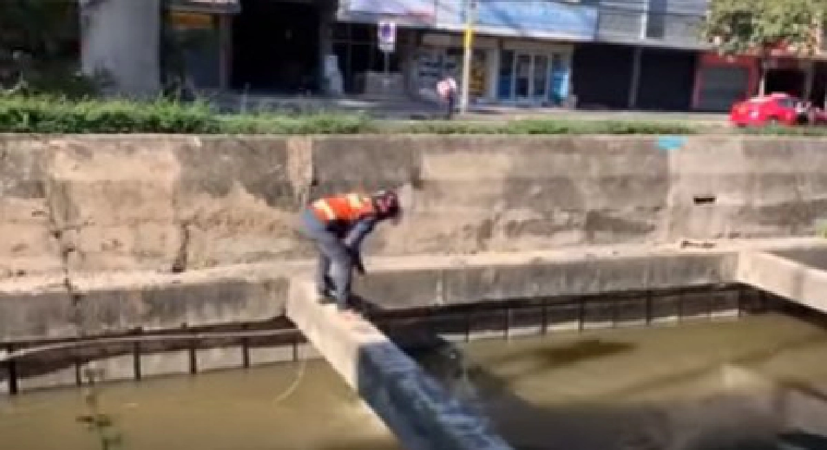 หนุ่มวินช่วยสุนัขที่กำลังตกน้ำ สุดกำลัง เพื่อให้มันปลอดภัย