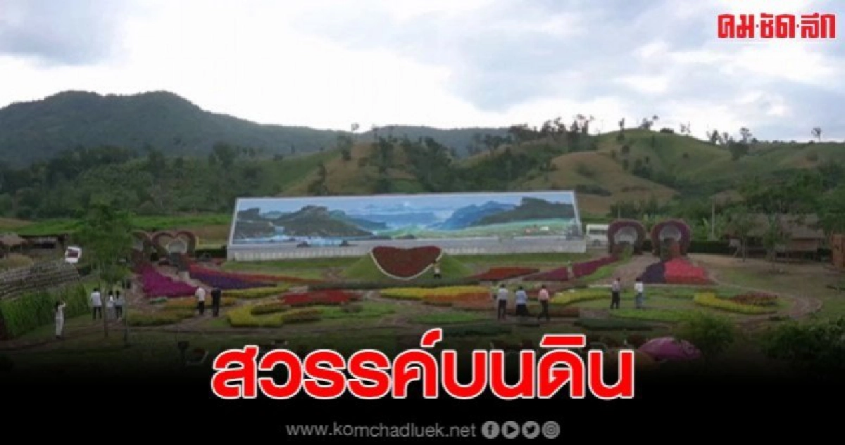 เนรมิตรดอยสูงเป็นสวรรค์บนดิน แก่นมะกรูดหนาวสุดกลางสยาม เนรมิตรดอยสูงเป็นสวรรค์บนดิน แก่นมะกรูดหนาวสุดกลางสยาม