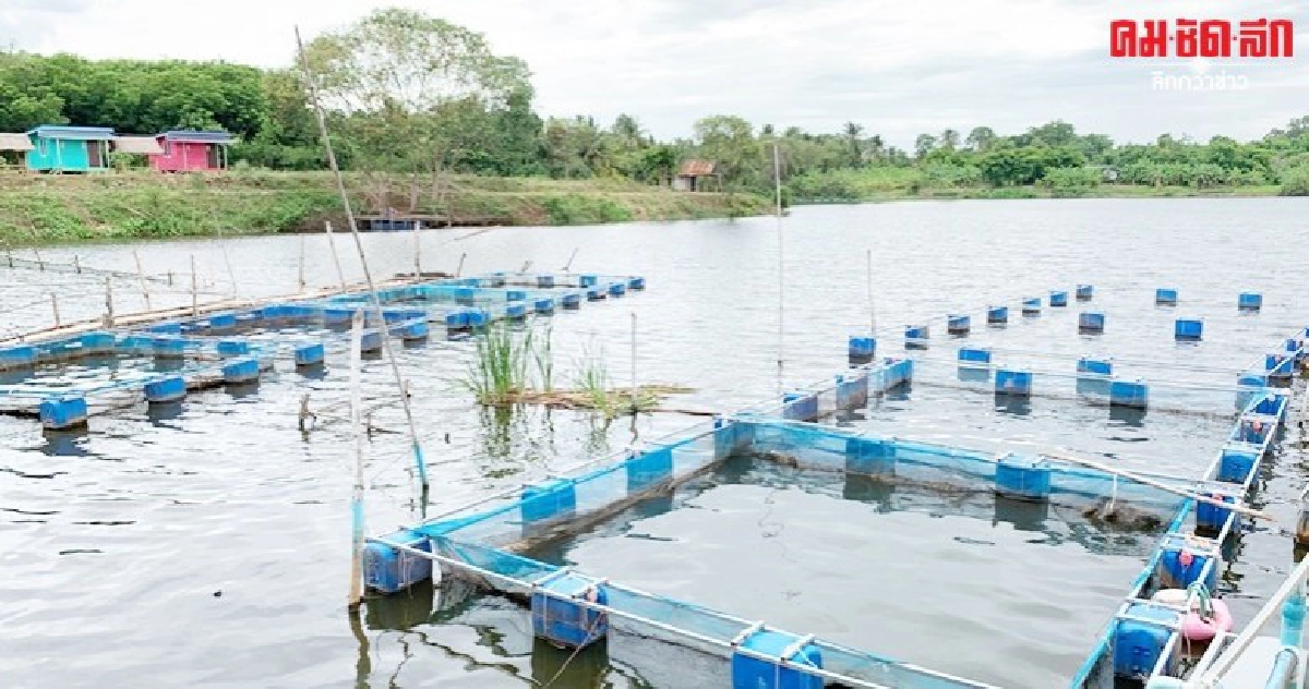 ฉลุย 2 ปี ธนาคารประมงแหล่งสัตว์น้ำ อาหารชุมชน