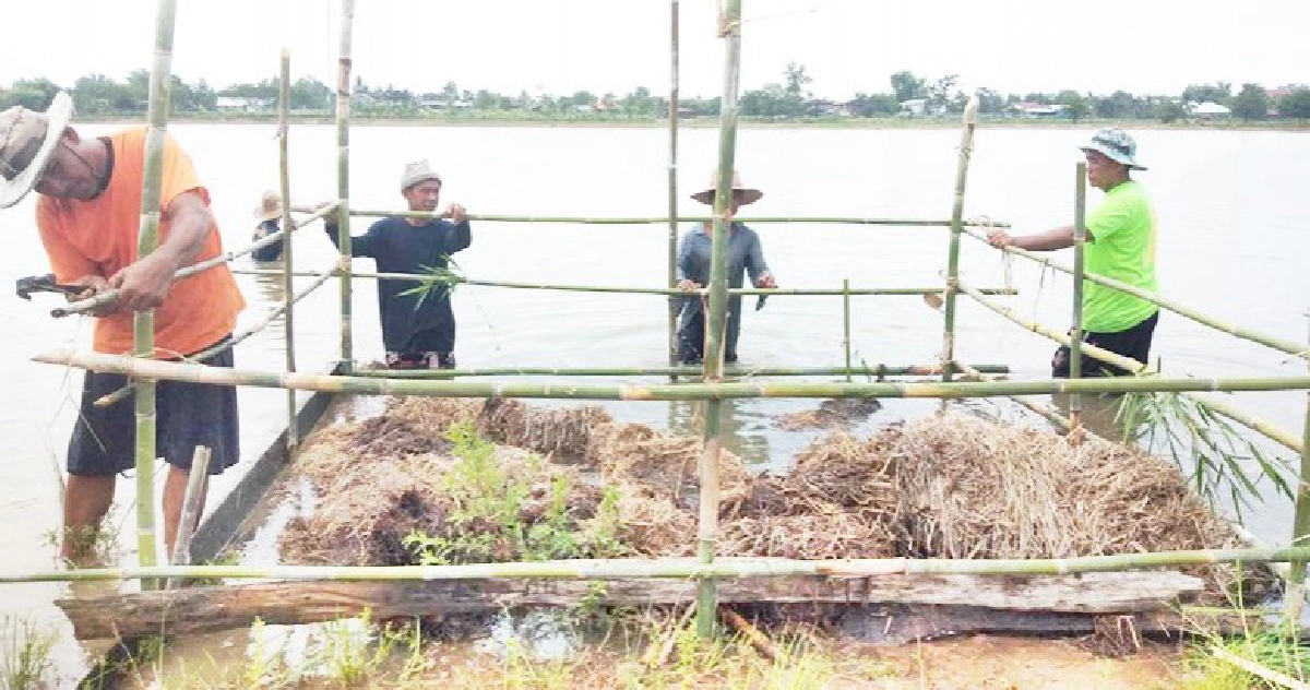 ฉลุย 2 ปี ธนาคารประมงแหล่งสัตว์น้ำ อาหารชุมชน