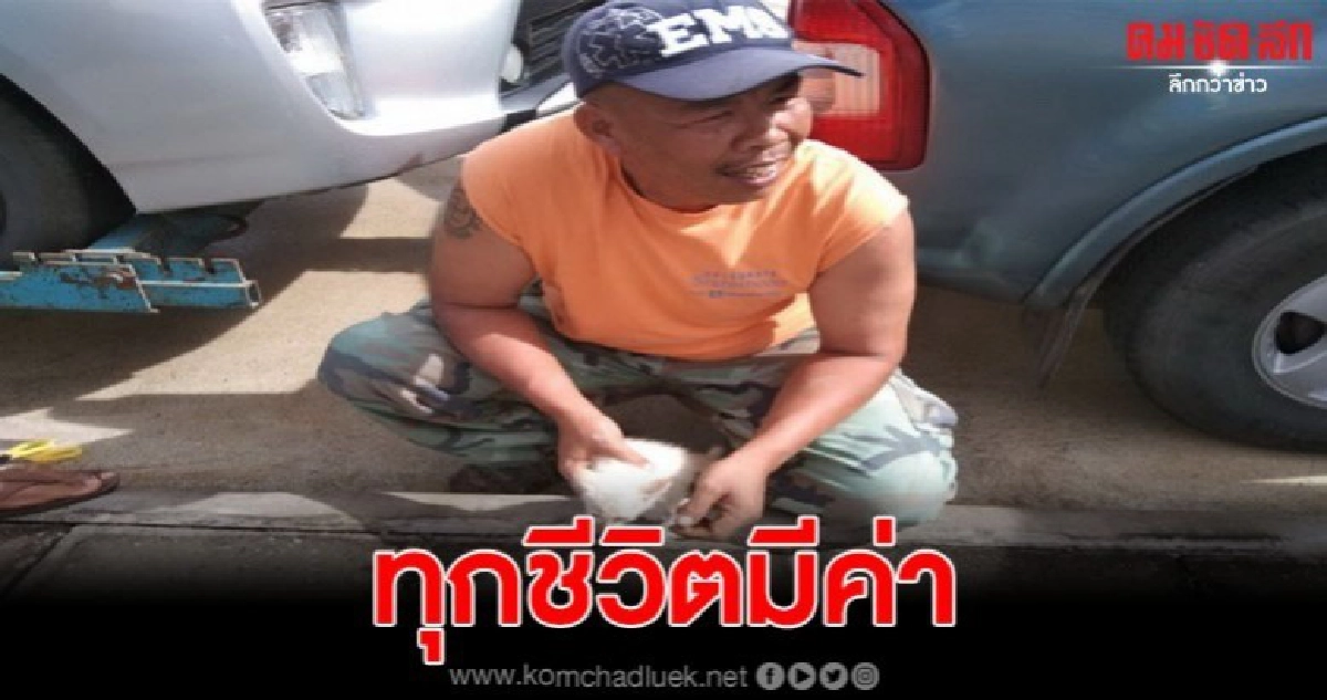 เจ้าหน้าที่กู้ภัย เข้าช่วยลูกแมว หลังเข้าไปติดใต้เก๋ง 