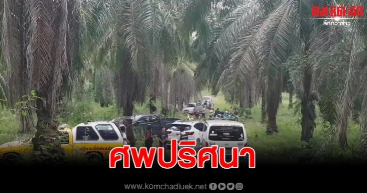 หาเห็ด กลับพบร่างหนุ่มปริศนากลางป่า โร่แจ้งจนท.ตรวจสอบ หาเห็ด กลับพบร่างหนุ่มปริศนากลางป่า โร่แจ้งจนท.ตรวจสอบ