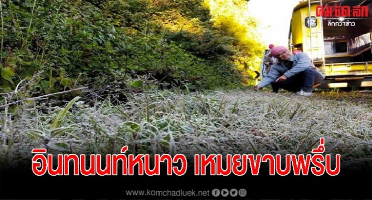 กิ่วแม่ปาน ดอยอินทนนท์ หนาวสุดขั้ว 4 องศา กิ่วแม่ปาน ดอยอินทนนท์ หนาวสุดขั้ว 4 องศา