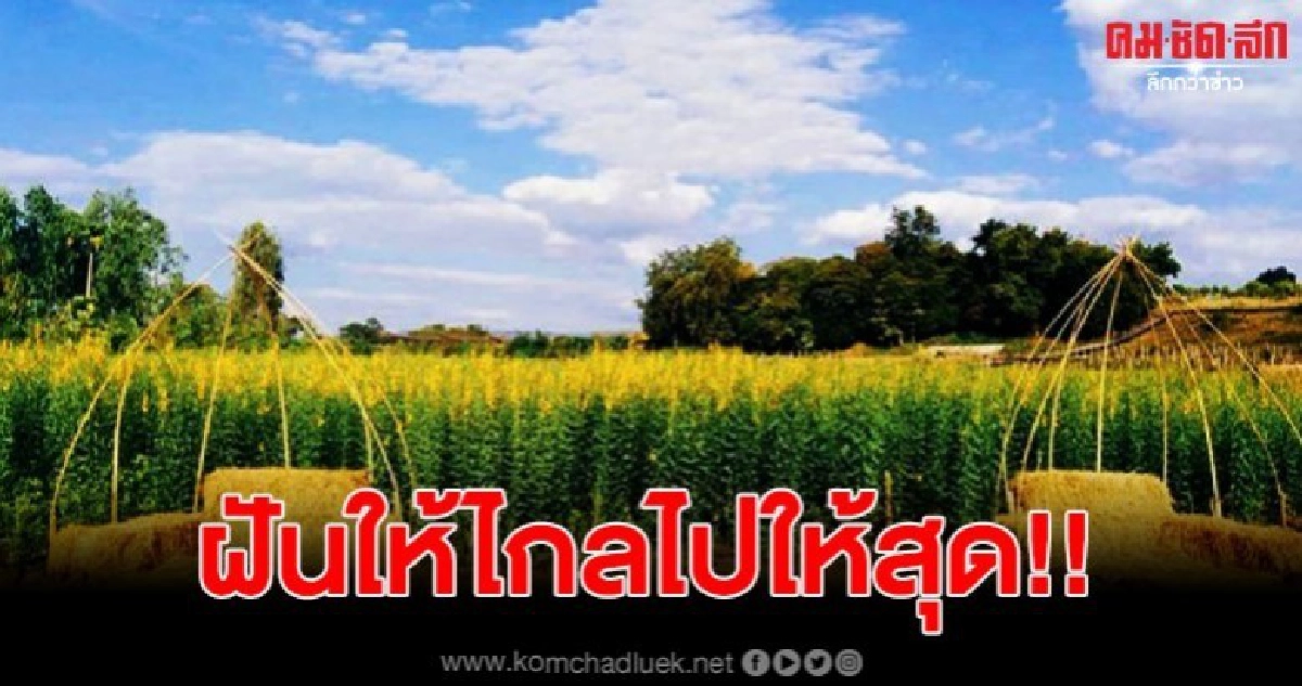 หนุ่มผู้หลงใหลในกลิ่นอายเกษตรกร ผันตัวเองสู่เกษตรแนวใหม่