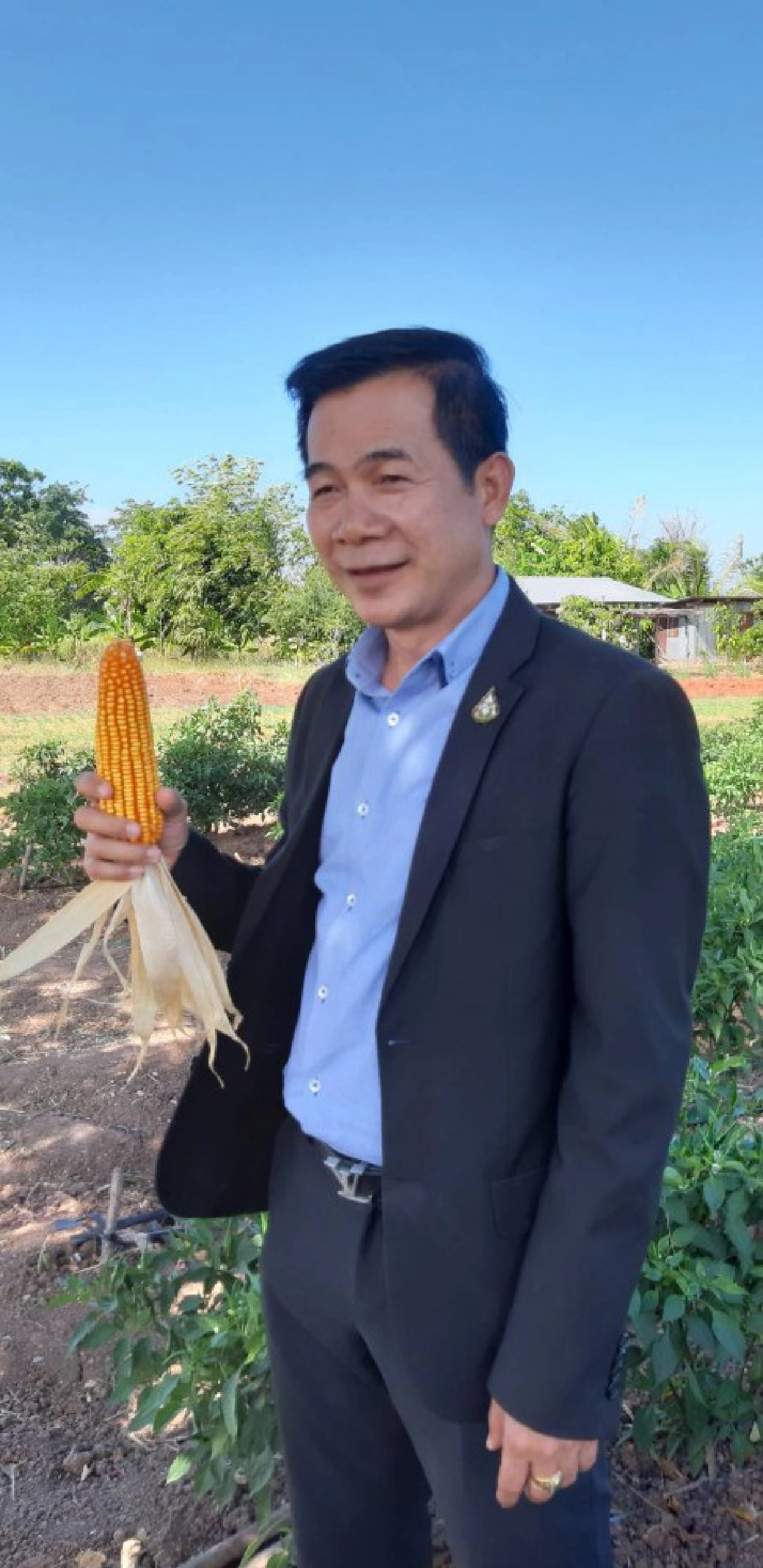 "บัลลังก์โมเดล"ต้นแบบชุมชนเกษตรกรปลูกข้าวโพดยั่งยืน