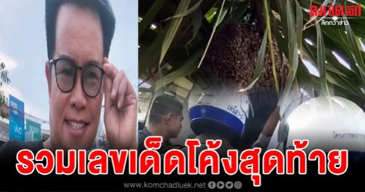 รวมเลขเด็ดโค้งสุดท้าย ประจำวันที่ 1 ธันวาคม 2562 รวมเลขเด็ดโค้งสุดท้าย ประจำวันที่ 1 ธันวาคม 2562