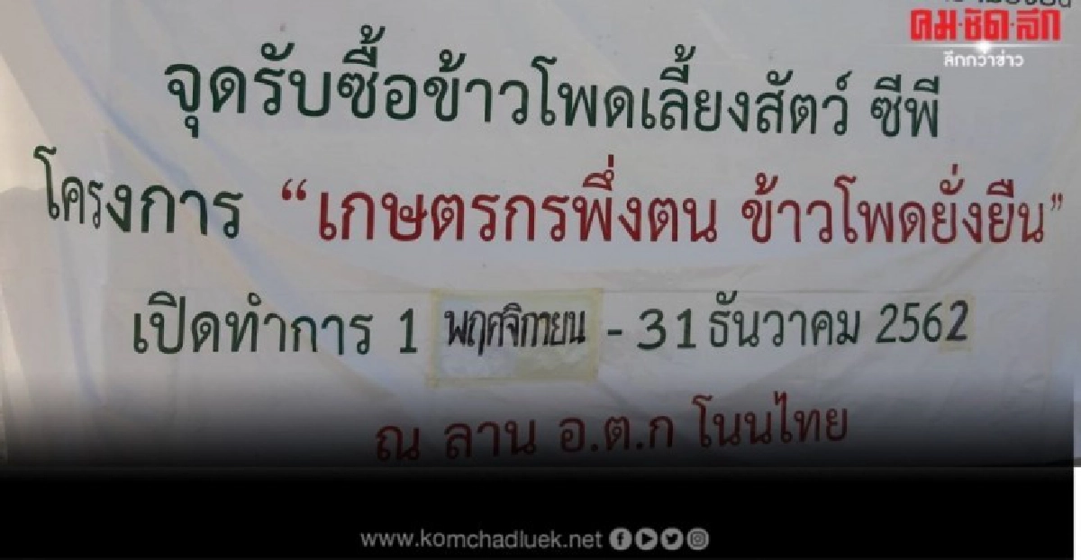 "บัลลังก์โมเดล"ต้นแบบชุมชนเกษตรกรปลูกข้าวโพดยั่งยืน