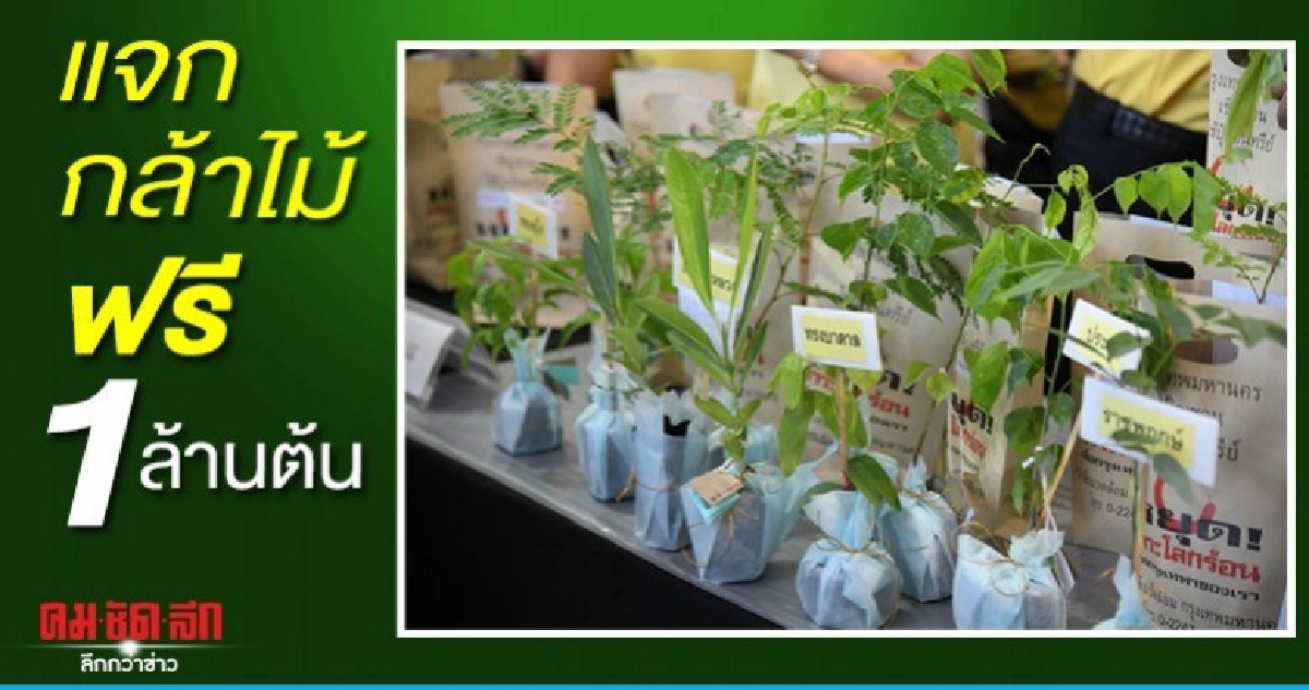 กทม.แจกกล้าไม้ฟรี 1 ล้านต้น เพิ่มปอดให้เมือง กทม.แจกกล้าไม้ฟรี 1 ล้านต้น เพิ่มปอดให้เมือง