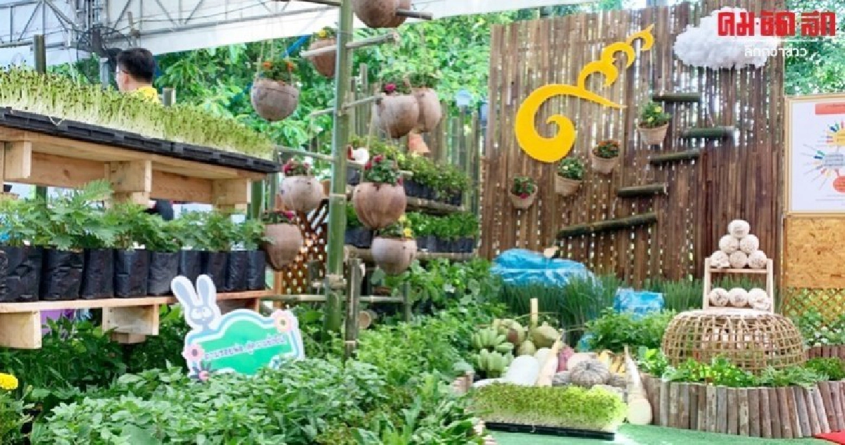 พิพิธภัณฑ์การเกษตรฯจัดใหญ่ศาสตร์พระราชาภูมิพลังแผ่นดิน พิพิธภัณฑ์การเกษตรฯจัดใหญ่ศาสตร์พระราชาภูมิพลังแผ่นดิน