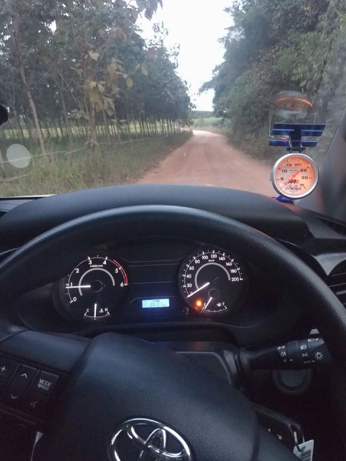 หนุ่มขับเก๋งไปเที่ยวห้าง แต่หลงเข้าป่า ได้แมวกลับบ้านแทน