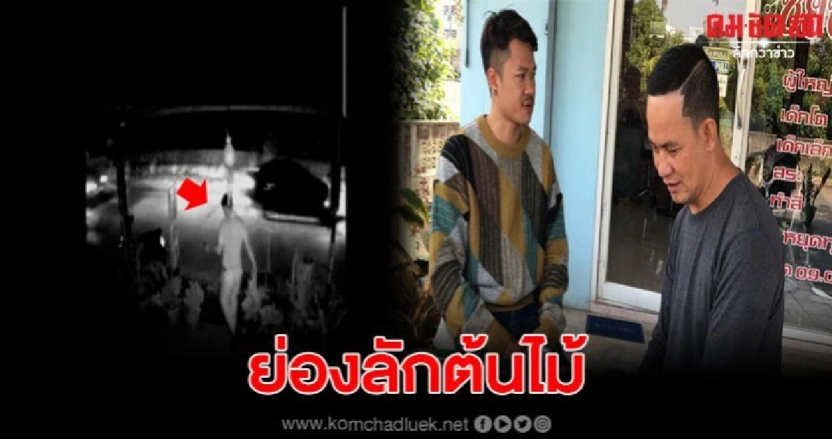 วงจรปิดจับภาพคนร้ายแต่งตัวดี ตระเวนขโมยต้นไม้ย่านบางบัวทอง วงจรปิดจับภาพคนร้ายแต่งตัวดี ตระเวนขโมยต้นไม้ย่านบางบัวทอง