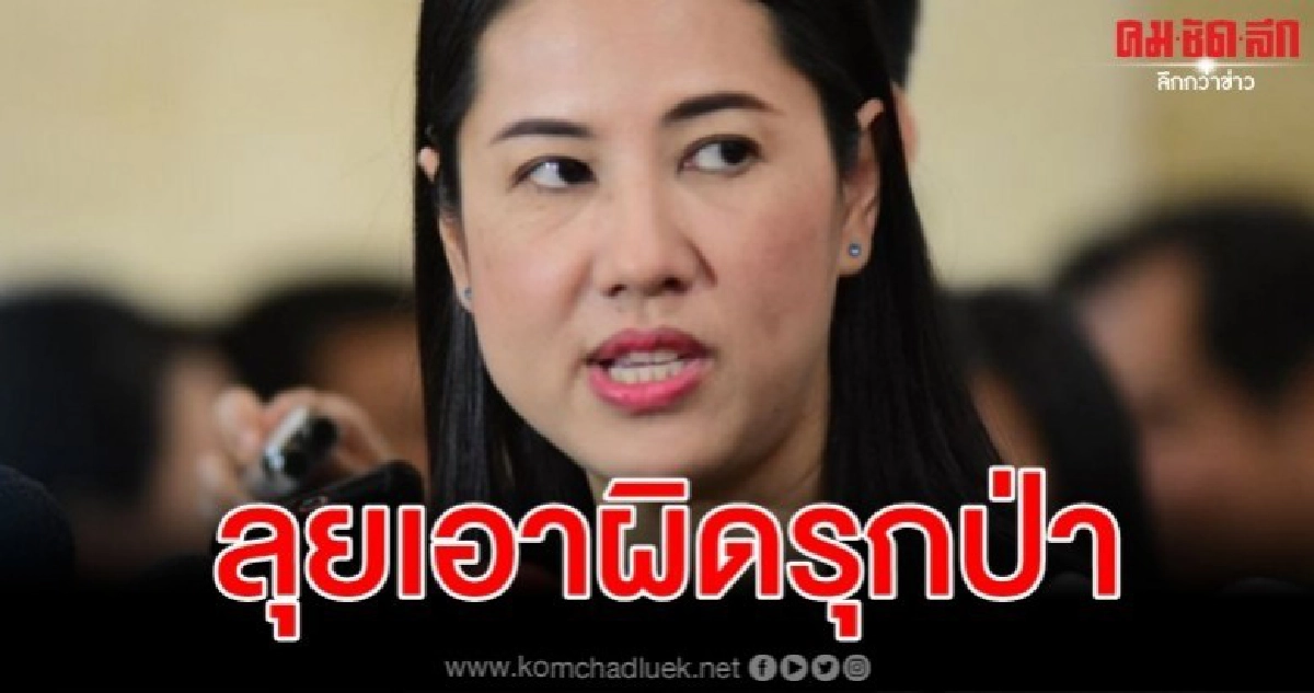 ปทส. ชง บช.ก. ทำคดี ปารีณา รุกป่าเอง