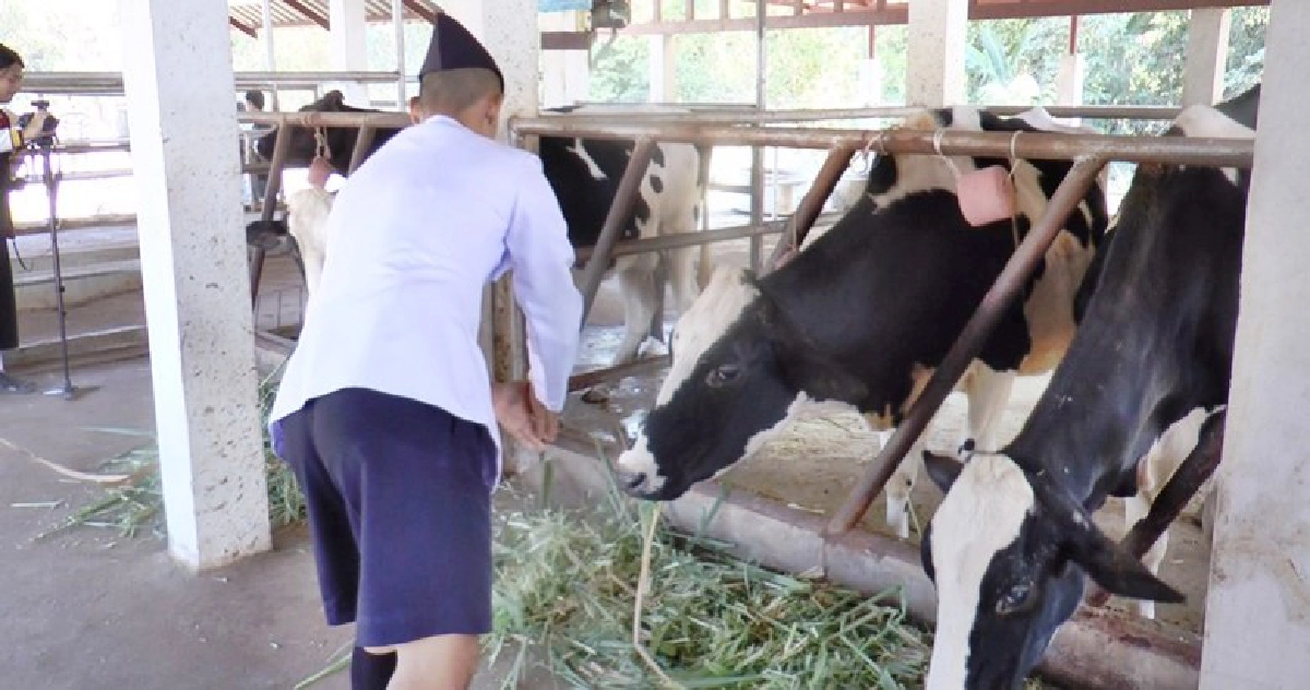 เร่งขับเคลื่อนฟาร์มโคนมขนาดเล็กสืบสานอาชีพโคนมจากรุ่นสู่รุ่น