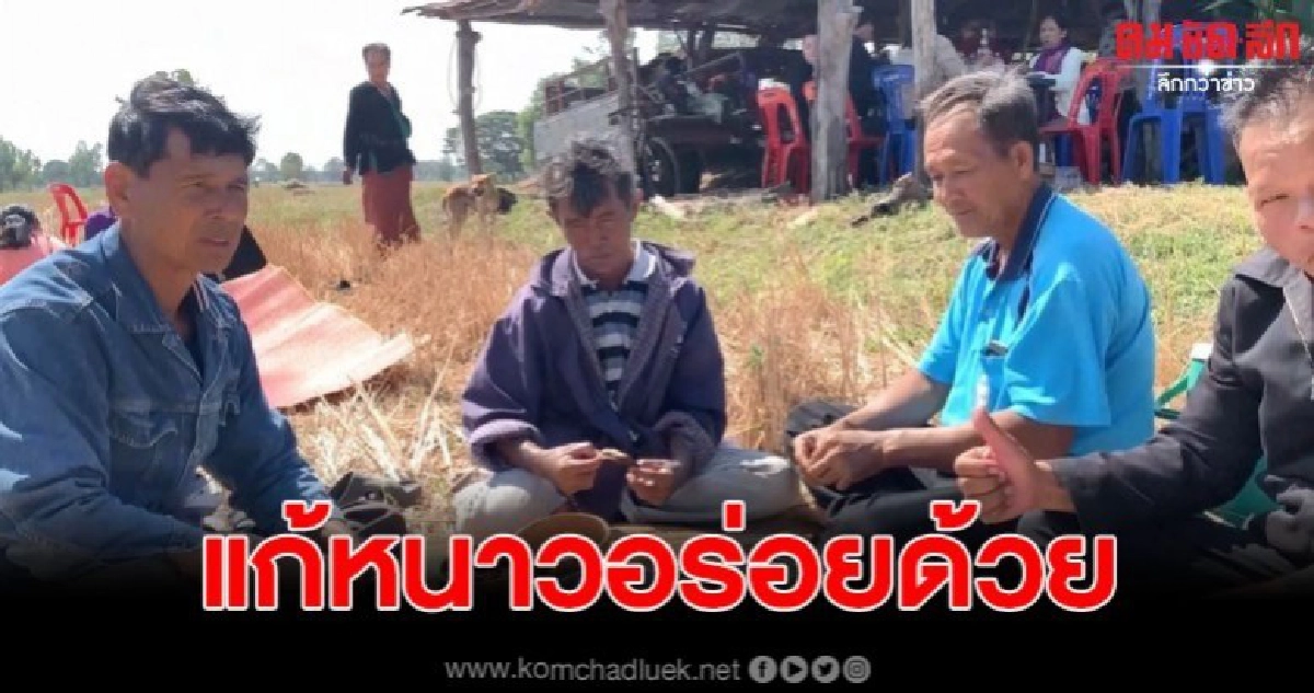 ทานย่างหนูนาเชื่อแก้หนาวได้ ทานย่างหนูนาเชื่อแก้หนาวได้