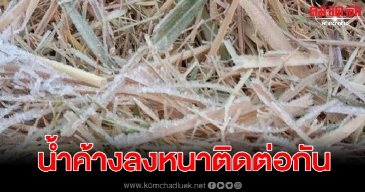 น้ำค้างลงหนาติดต่อกันเป็นวันที่3 ส่วนยอดภูหนาวจัดทุกแห่ง
