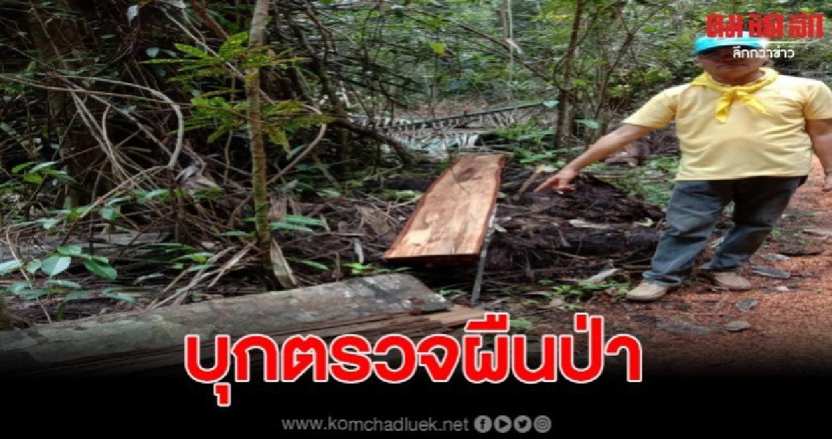 สนธิกำลัง ตร.-ทหาร-ฝ่ายปกครองลุยตรวจสอบการบุกรุกทำลายป่า