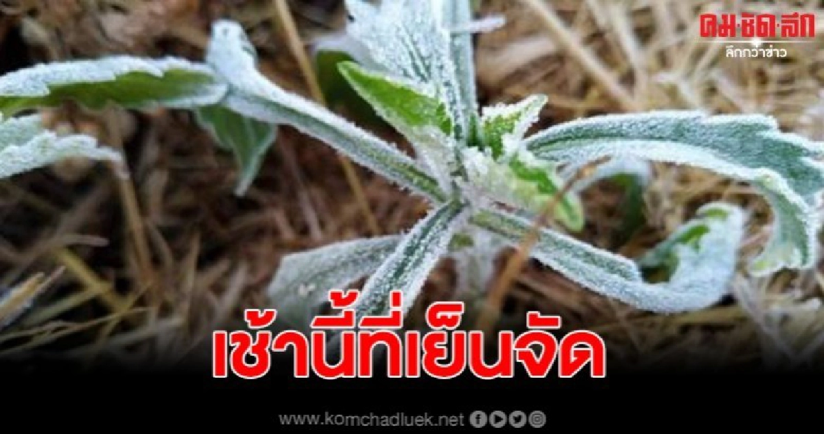 เลยหนาวจัด เหลือเพียง 3 องศา ขณะ นทท.ไม่หวั่นแห่เที่ยว เลยหนาวจัด เหลือเพียง 3 องศา ขณะ นทท.ไม่หวั่นแห่เที่ยว