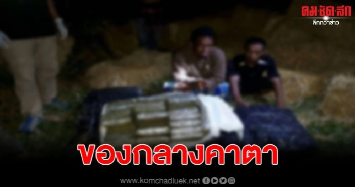 สตูลแถลงข่าวโชว์ผลงาน ยึดกัญชาเกือบ 200 กิโลฯ