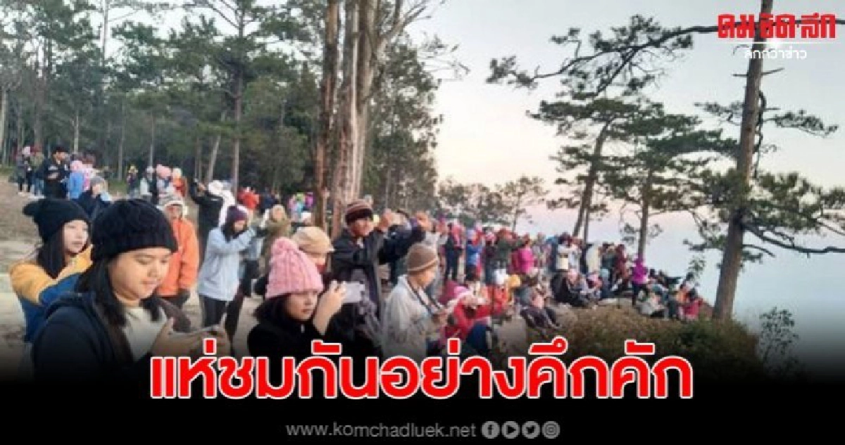 นทท.ชม น้ำค้างลงหนาอุทยานแห่งชาติภูกระดึงวันแรก นทท.ชม น้ำค้างลงหนาอุทยานแห่งชาติภูกระดึงวันแรก