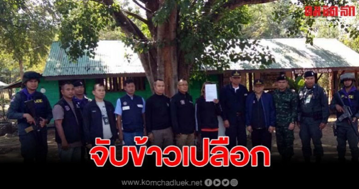 จับกุมข้าวเปลือกลักลอบจากประเทศกัมพูชา จับกุมข้าวเปลือกลักลอบจากประเทศกัมพูชา