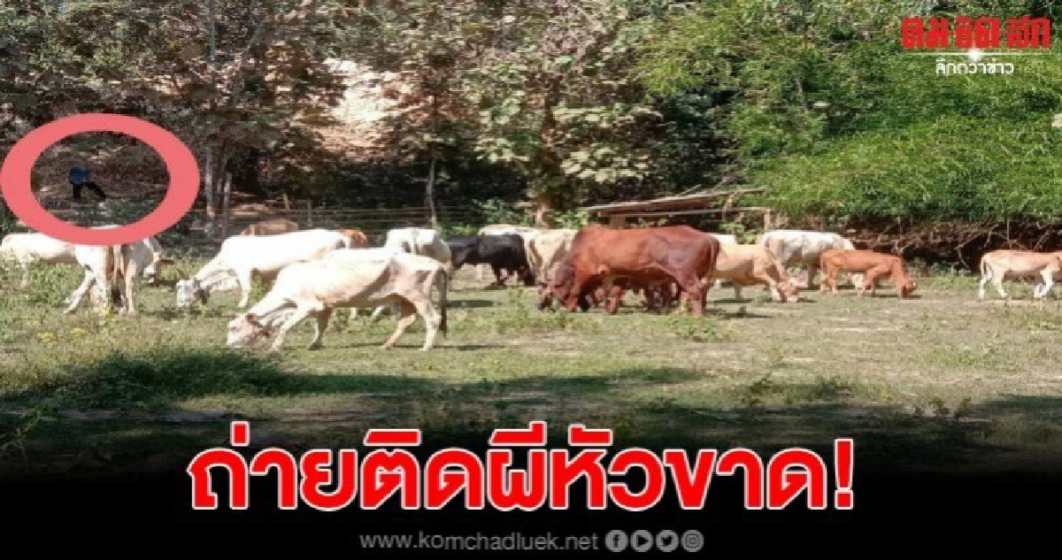 ฮือฮาเมียผญบ.ถ่ายภาพติดผีหัวขาด เชื่อเป็นวิญญาณขอส่วนบุญ ฮือฮาเมียผญบ.ถ่ายภาพติดผีหัวขาด เชื่อเป็นวิญญาณขอส่วนบุญ