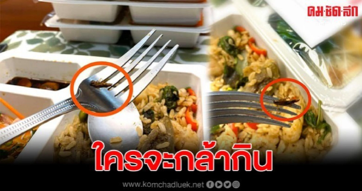 อวสานข้าวกล่อง หนุ่มเจอแมลงสาบอยู่ในมื้ออาหารที่เขาสั่งมากิน อวสานข้าวกล่อง หนุ่มเจอแมลงสาบอยู่ในมื้ออาหารที่เขาสั่งมากิน