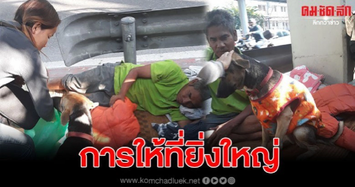 สาวมอบผ้าห่ม เสื้อกันหนาวกับลุงและสุนัขจรจัดที่นอนข้างถนน