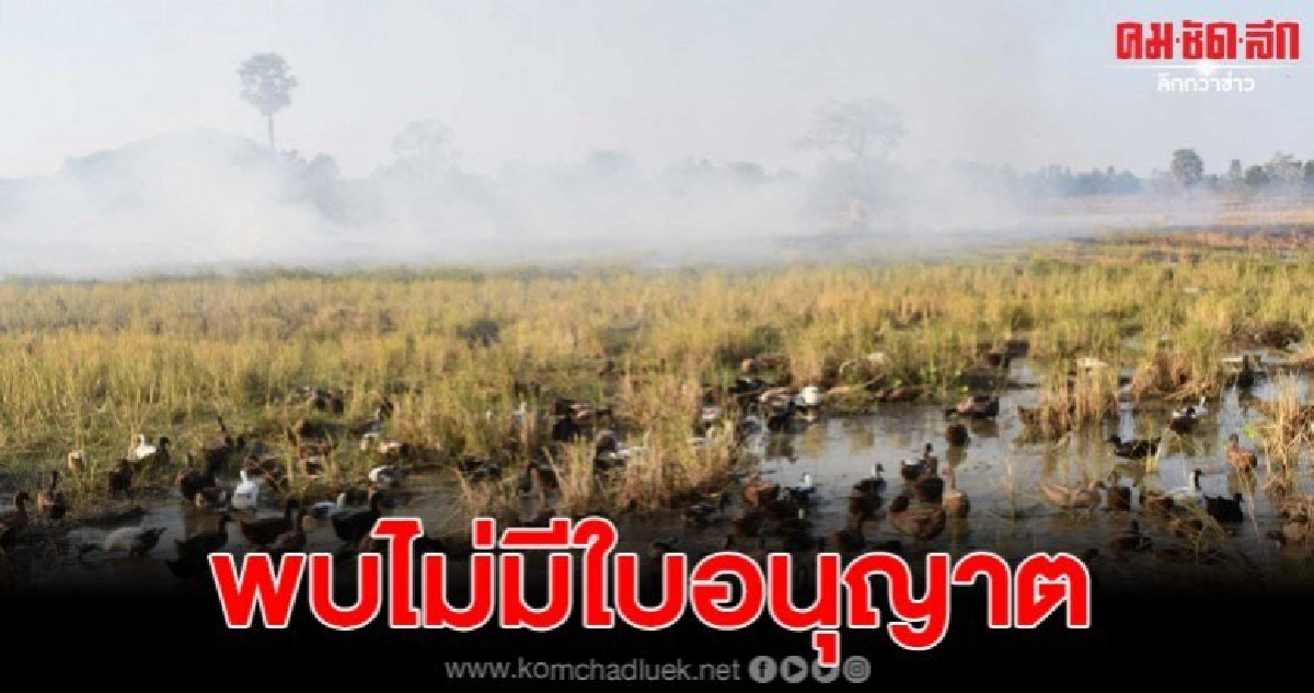กาฬสินธุ์จับเป็ดไล่ทุ่ง ลักลอบเข้าพื้นที่ไม่มีใบอนุญาต